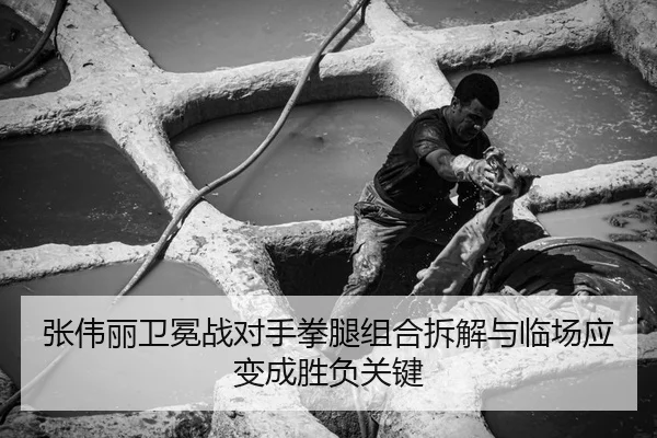 张伟丽卫冕战对手拳腿组合拆解与临场应变成胜负关键